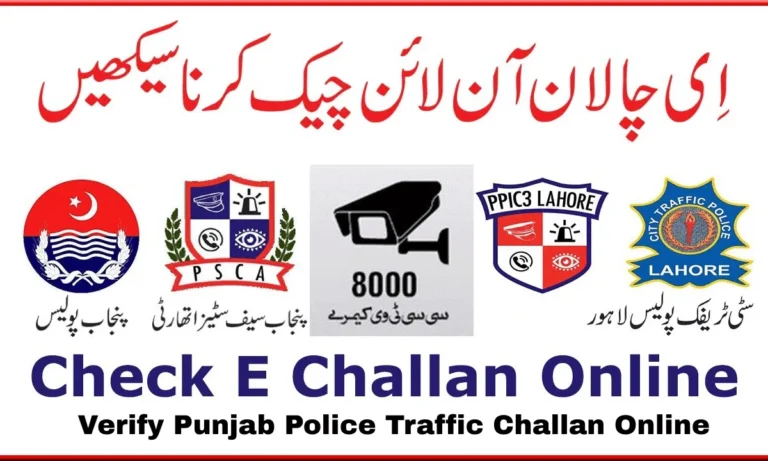 E-Challan Check Karne Ka Tarika 2026 Complete Guide for All Pakistan Provinces